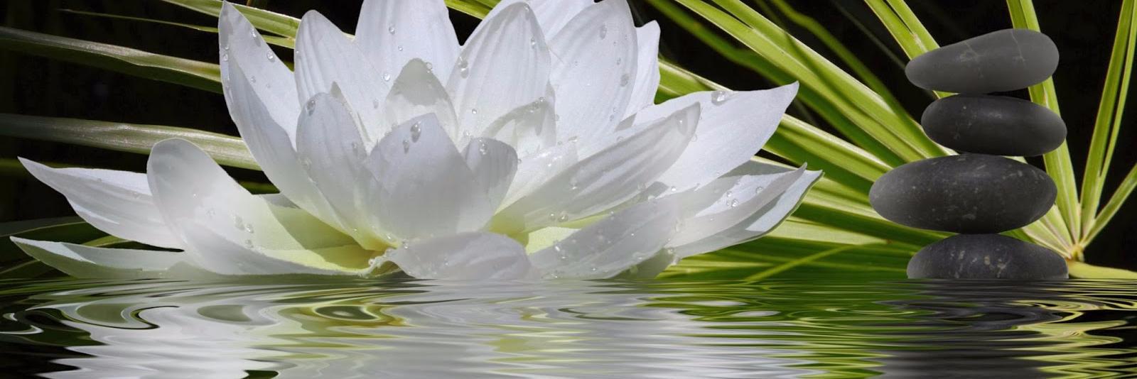 desusanam's profile banner image