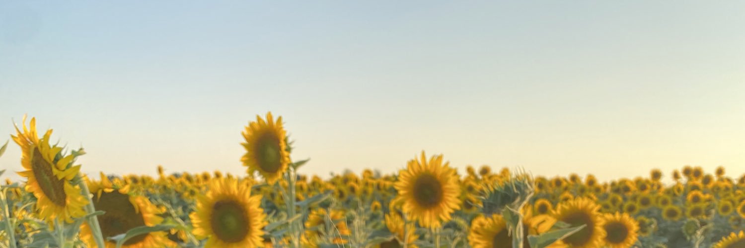 KaylaEnslow's profile banner image
