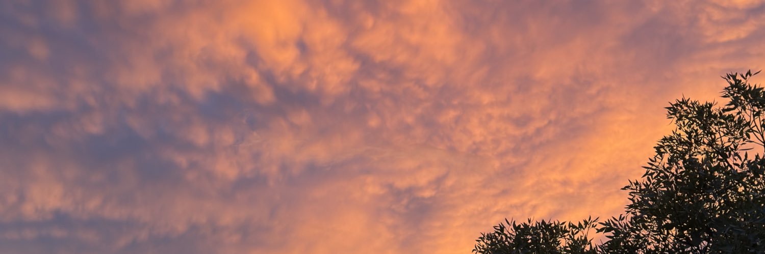 mpazclemente_'s profile banner image
