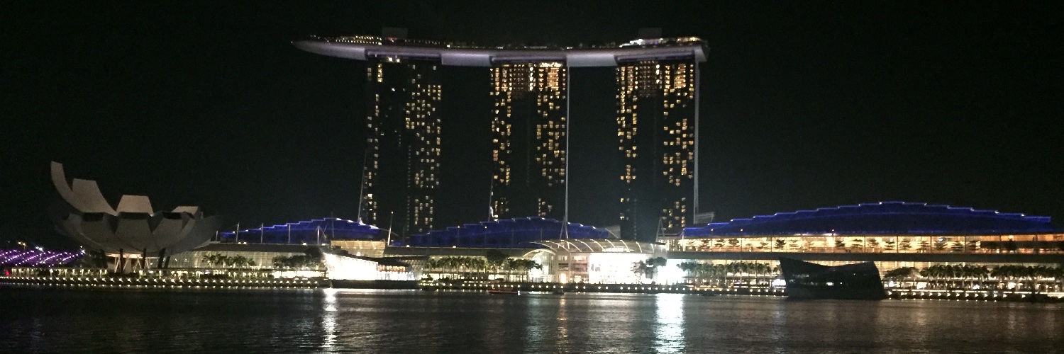 Inna S Stelmakh banner