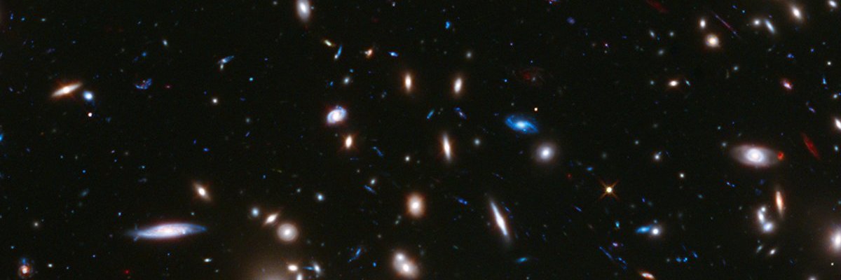 gianniscalora7's profile banner image
