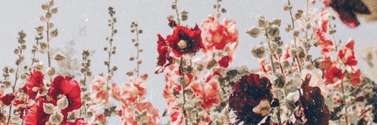 degeorge22's profile banner image