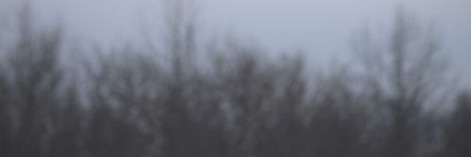 abbyymcc's profile banner image