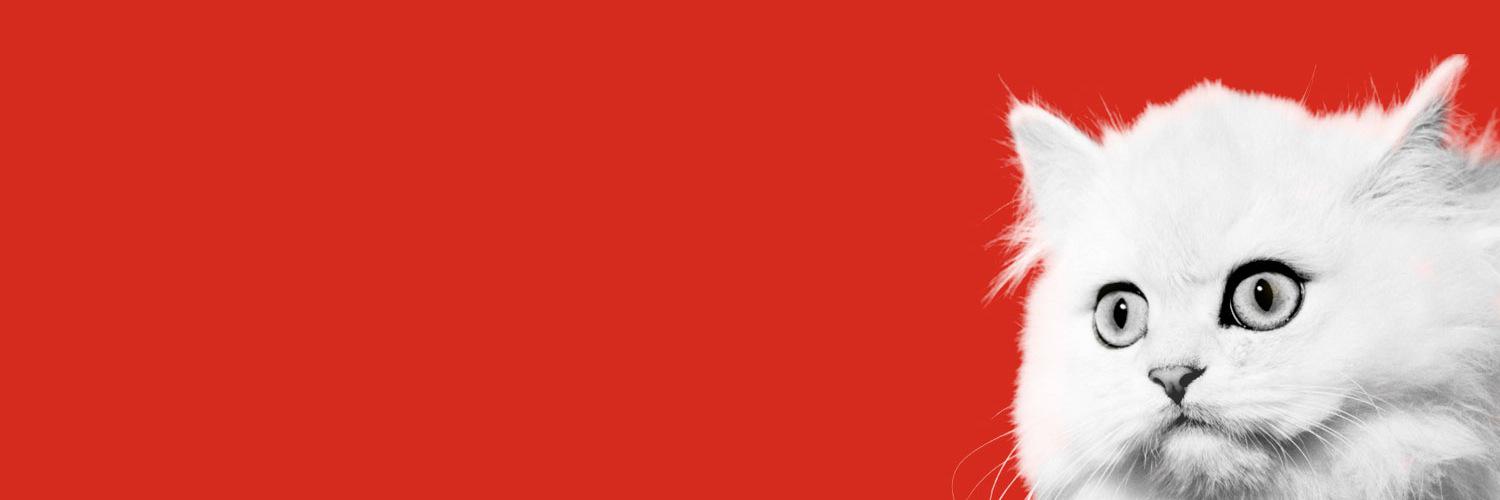 divstivs's profile banner image
