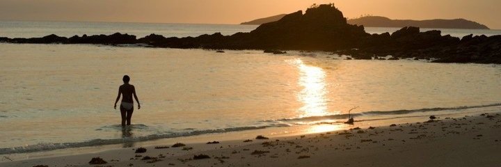 ensheathe's profile banner image