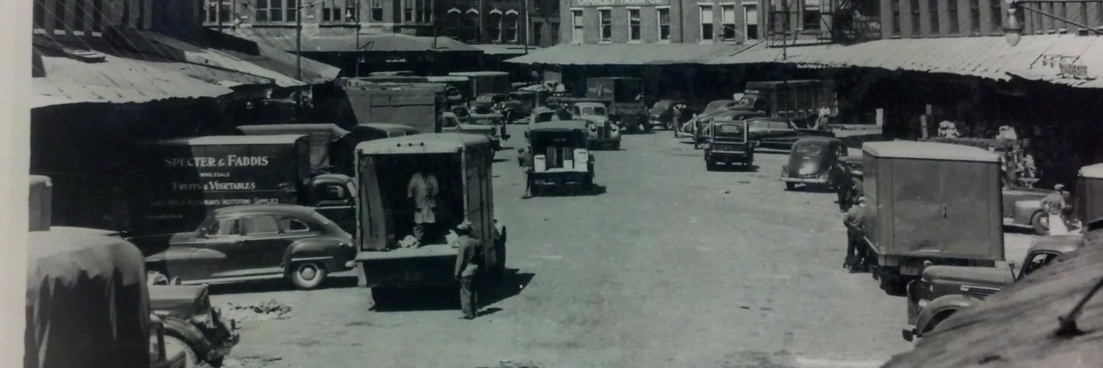 Procacci Brothers banner