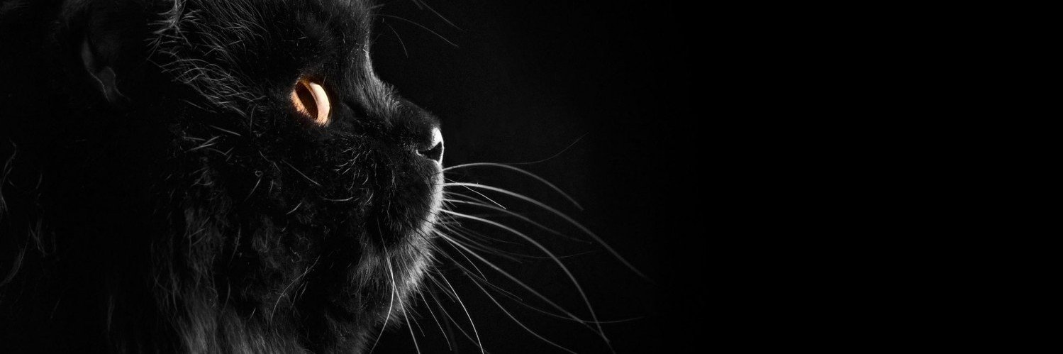 RobsonSantti's profile banner image