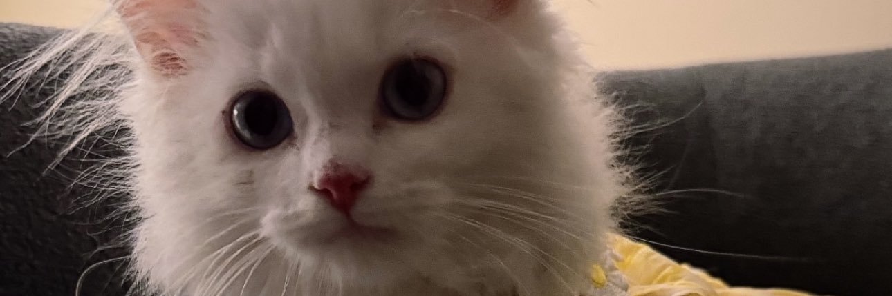 MissMarieh00's profile banner image