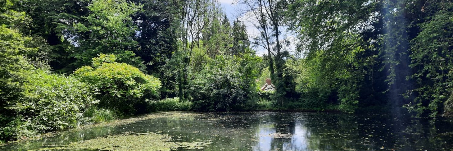 Bridgette Brooks banner