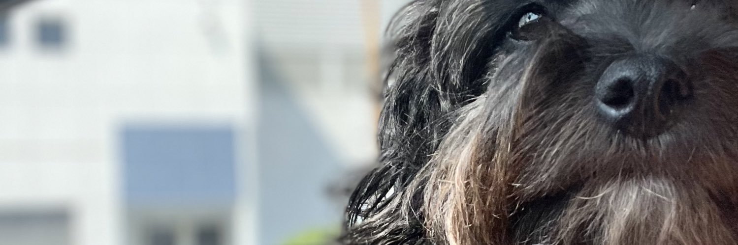 _GabySaucedo's profile banner image