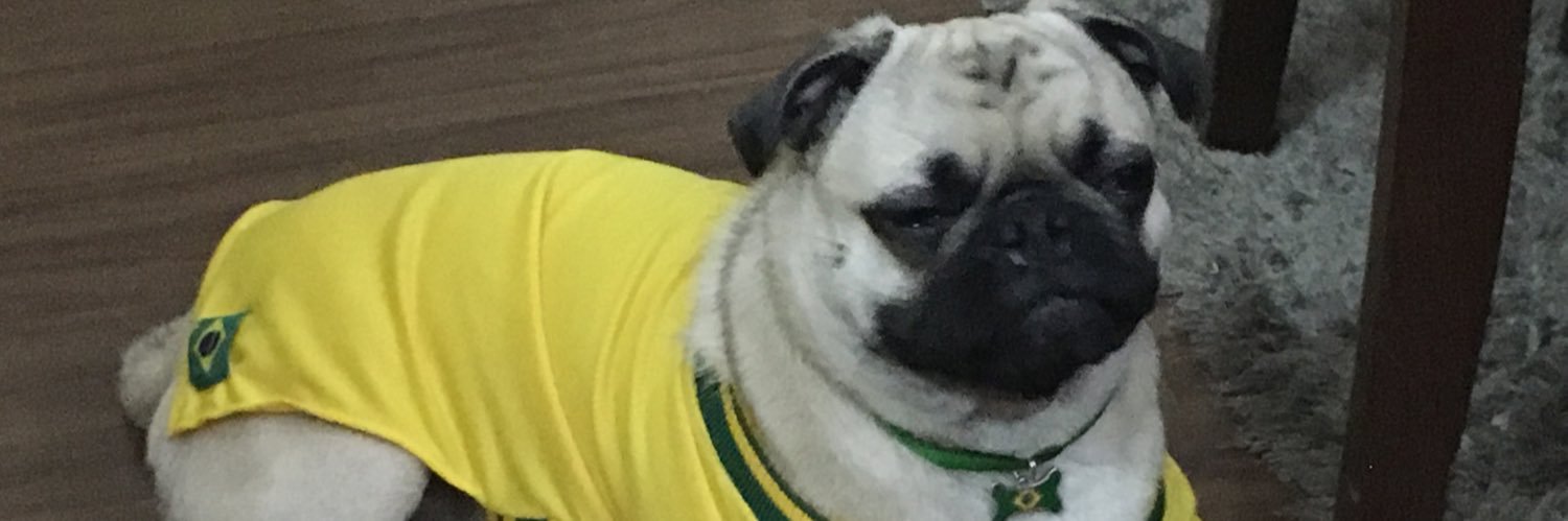 cidokinhamelo's profile banner image