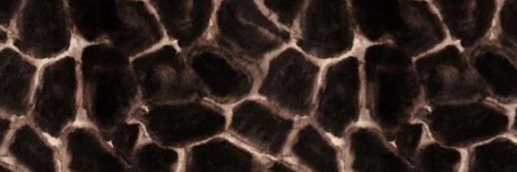 mama_nette01's profile banner image