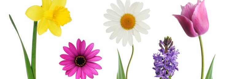 Victoria Staat banner