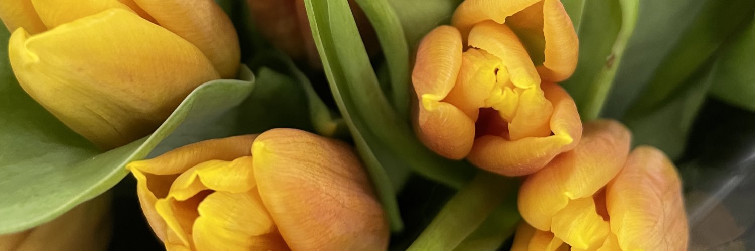 _mammann's profile banner image