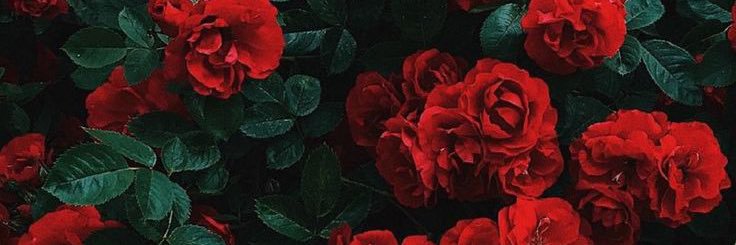 starving4everrr's profile banner image