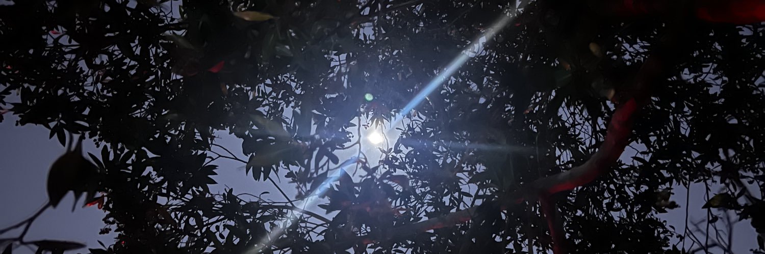 7muuud's profile banner image