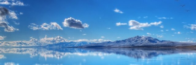 Ammon Gruwell banner