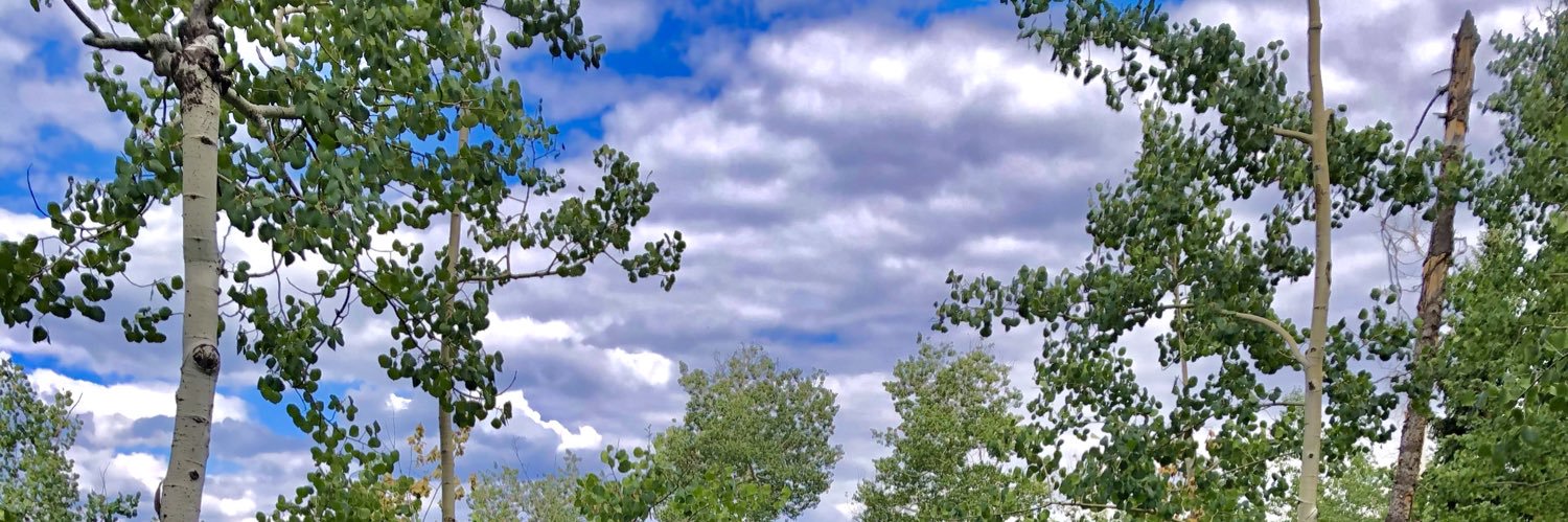 willgluckwhat's profile banner image