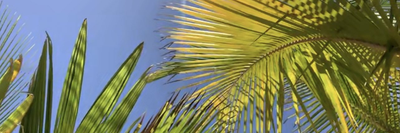 tedesiathomas's profile banner image