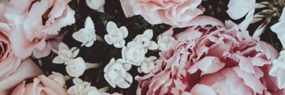 _hodp16's profile banner image
