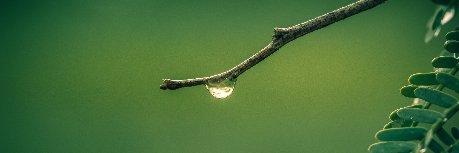 Marioherculano's profile banner image