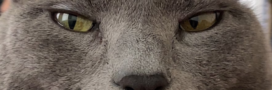 juliaredmon_'s profile banner image