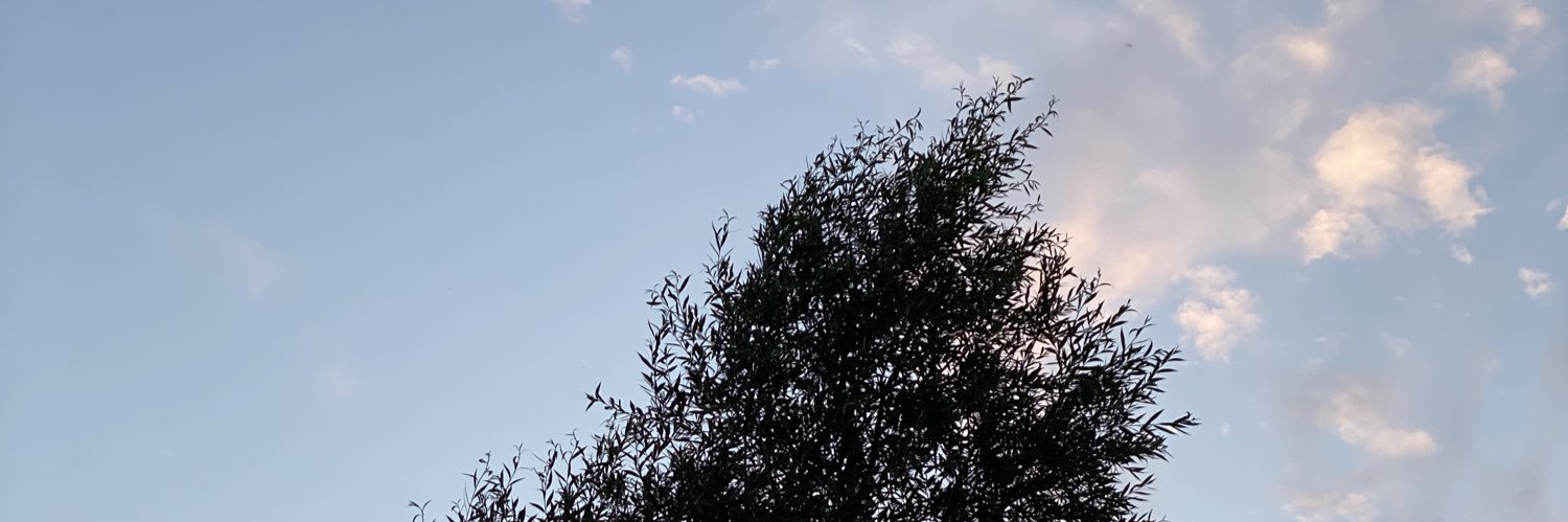 Danjamesshort's profile banner image