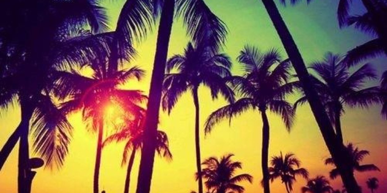 flapacheco7's profile banner image