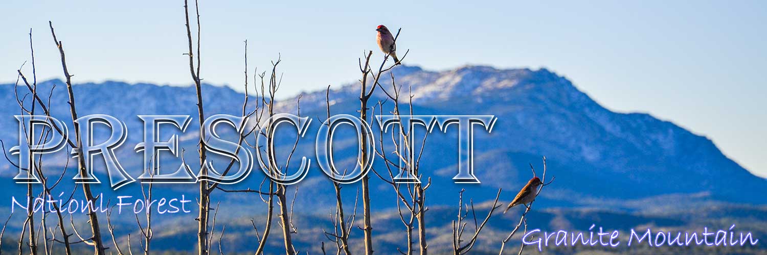 Prescott NF banner