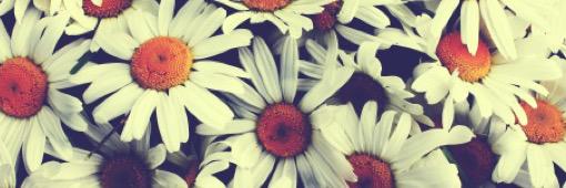 xosherrilicious's profile banner image