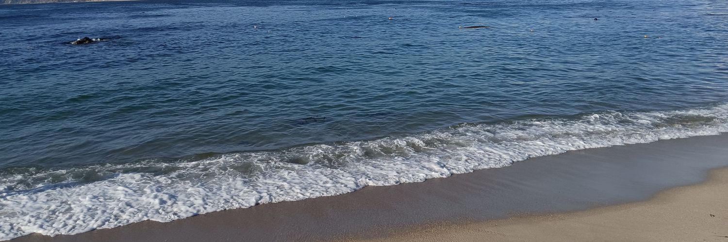 andrea puebla banner