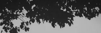 ran_sa5's profile banner image