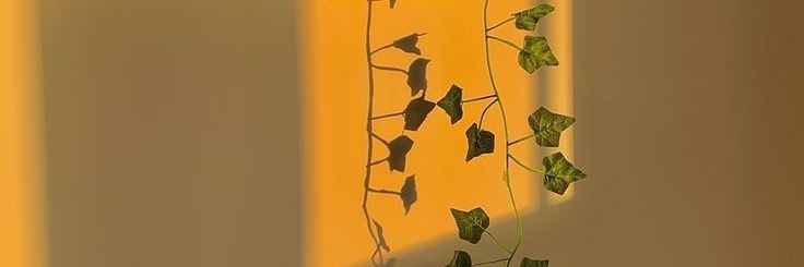 LSCampos31's profile banner image
