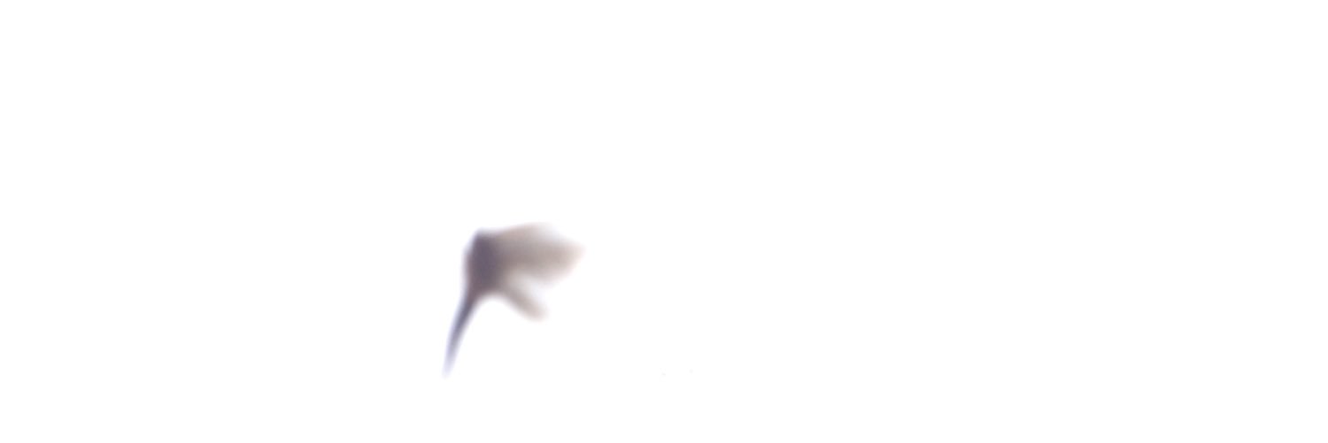 BevanStead's profile banner image