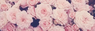 delaneyt_'s profile banner image