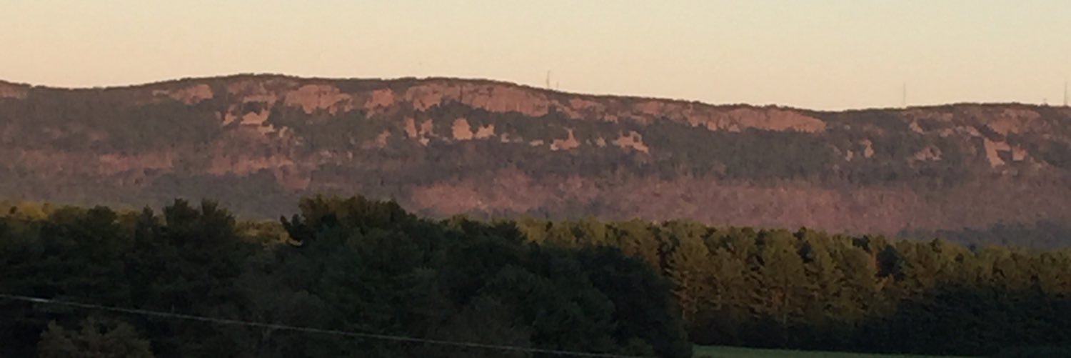 KatieAnne DeMars banner