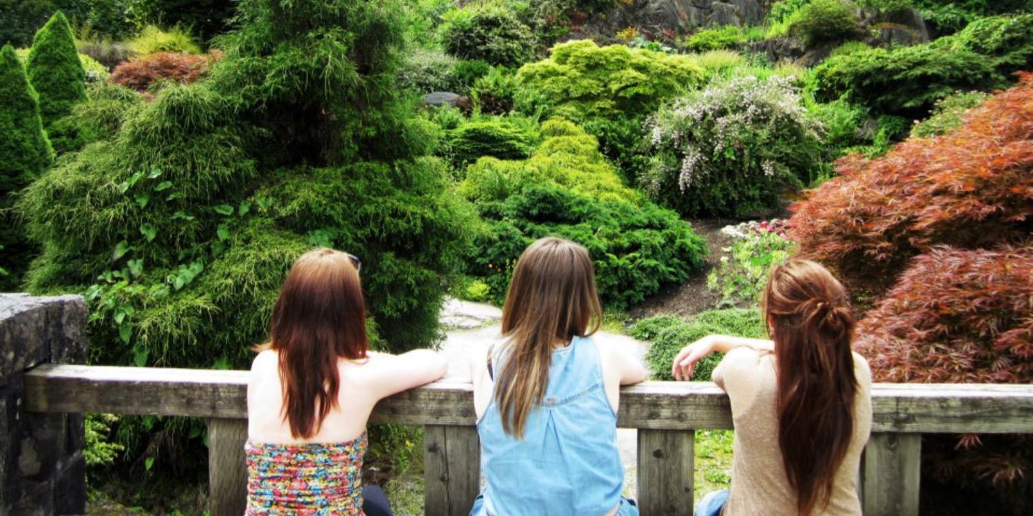RebeccaCase2's profile banner image