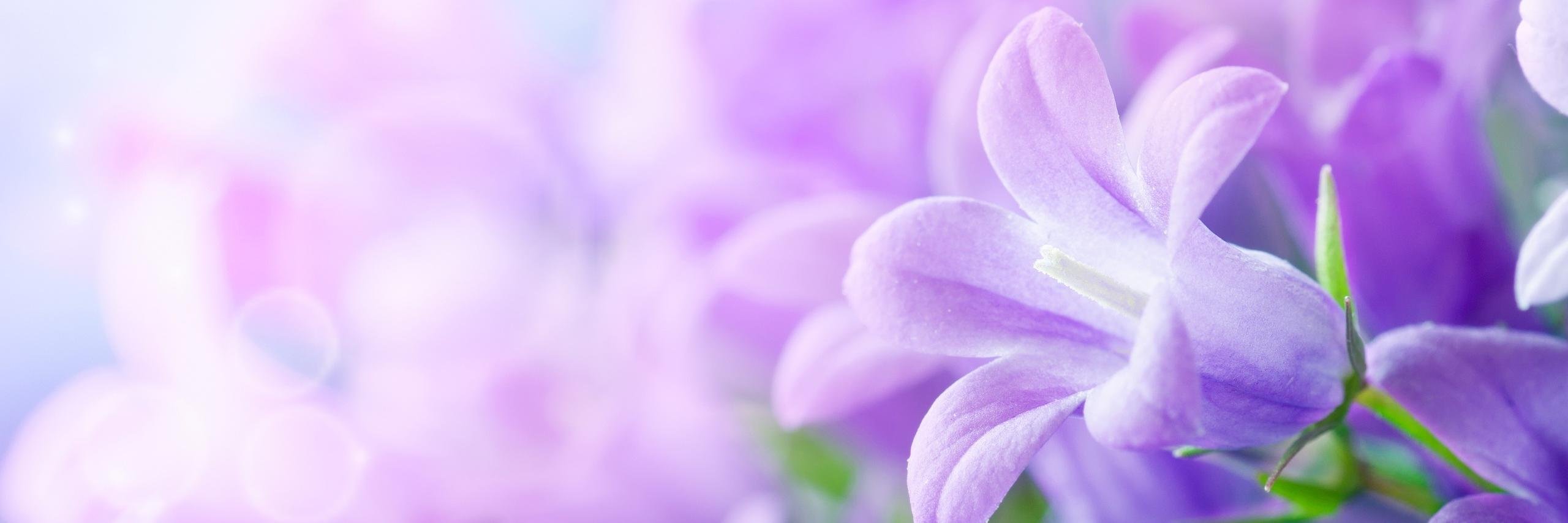 elpatterson81's profile banner image