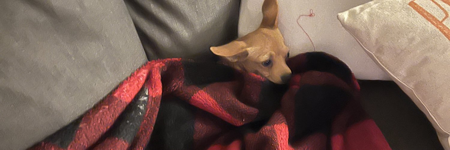 BeeCacaa_'s profile banner image
