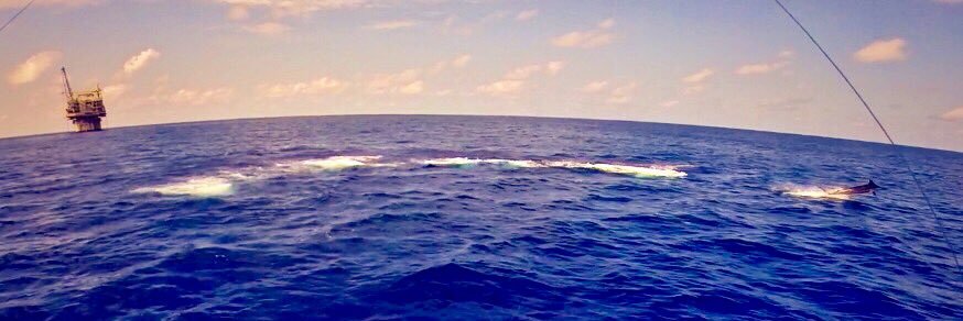 REHABFishing's profile banner image