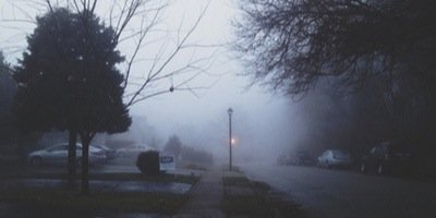BaileyPavey's profile banner image
