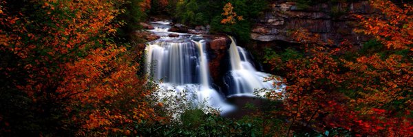 MillieOmps Profile Banner