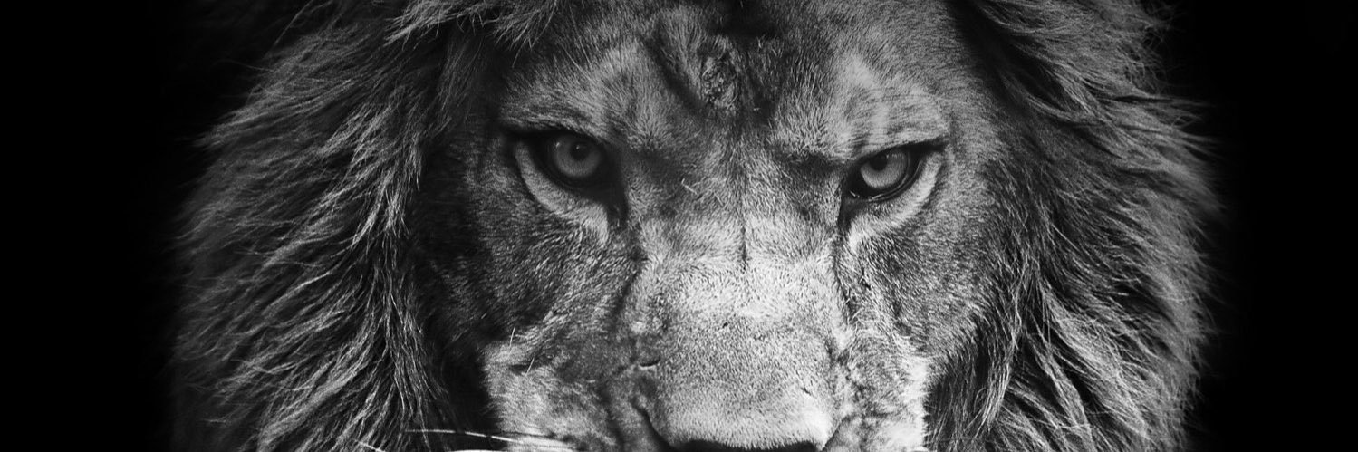 Kbreezy_05's profile banner image
