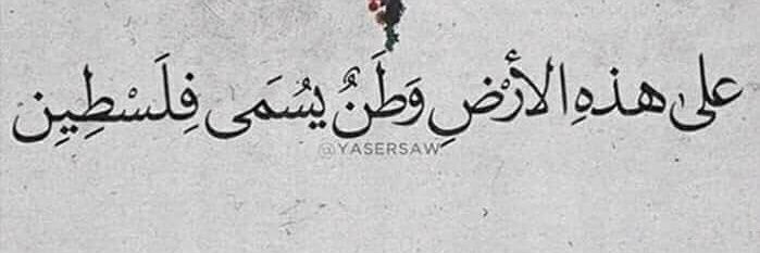 achrefmehdi's profile banner image