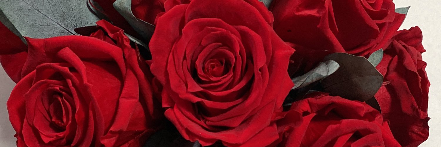 Ma de Lourdes Ortega banner