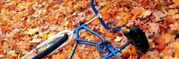 Normalman🦸 banner