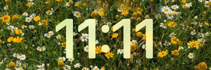 ☆*E.L.L*☆ banner