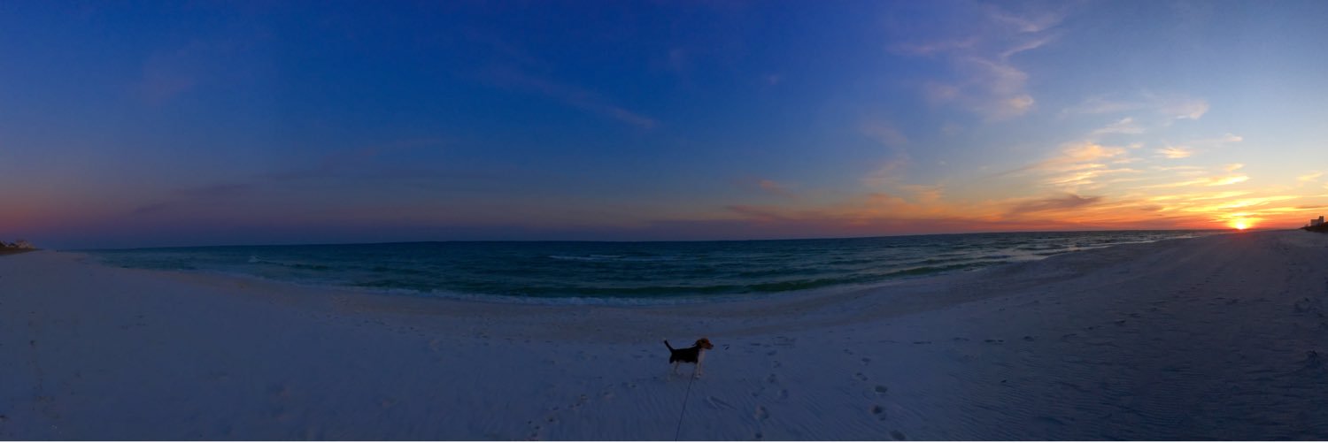 LacieBro's profile banner image
