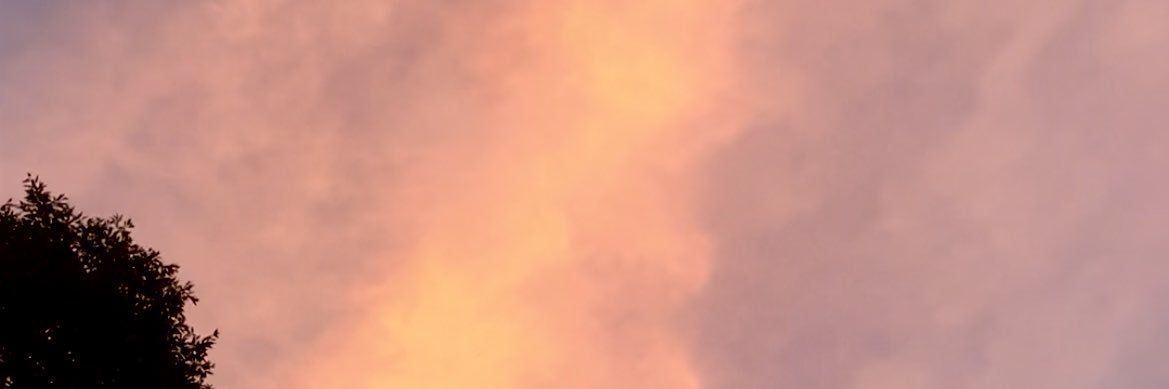 mishafarr's profile banner image