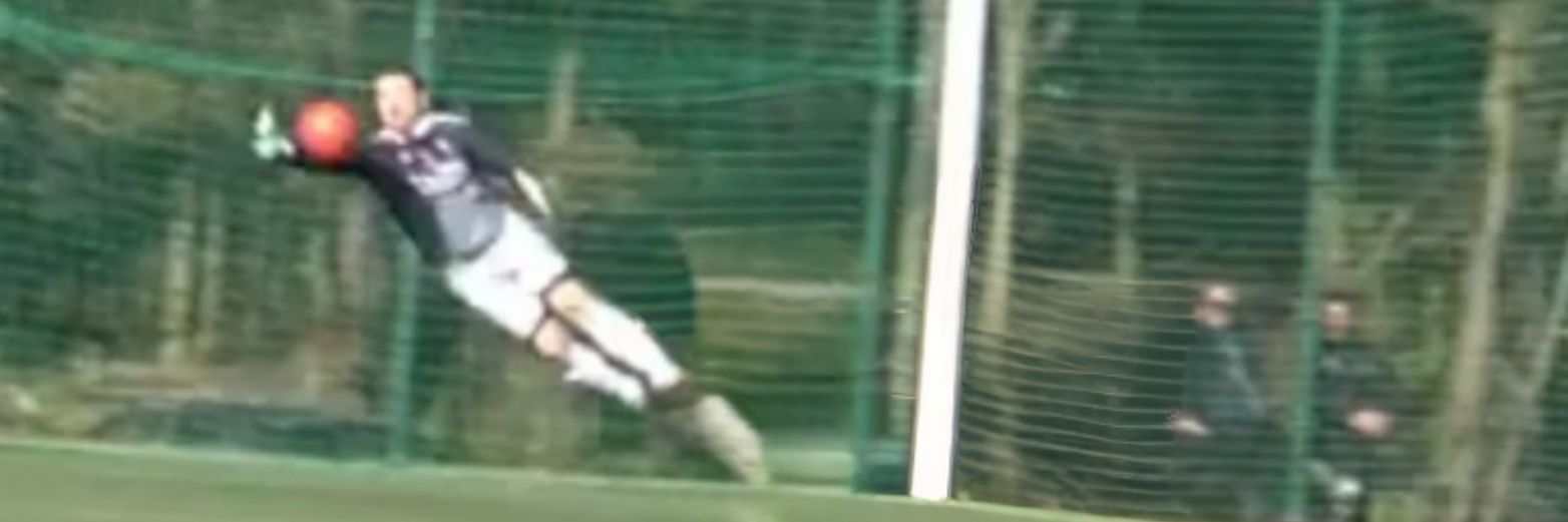 Renato Rodrigues banner